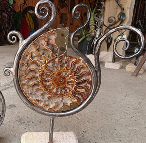 "Flow 2" Ammonite And Iron Sculpture